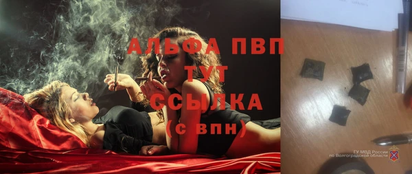 стаф Алексеевка